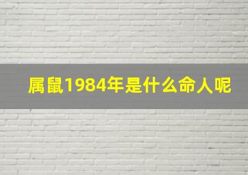 属鼠1984年是什么命人呢