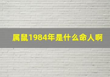 属鼠1984年是什么命人啊