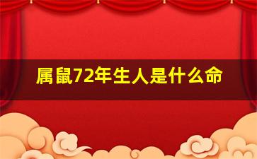 属鼠72年生人是什么命