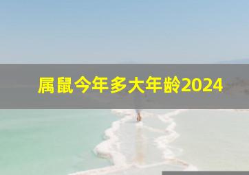 属鼠今年多大年龄2024