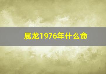 属龙1976年什么命