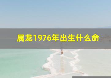 属龙1976年出生什么命