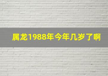 属龙1988年今年几岁了啊