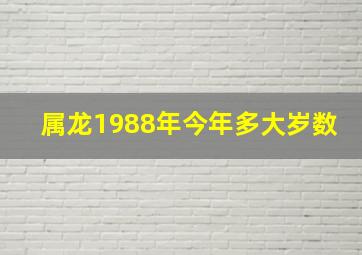 属龙1988年今年多大岁数