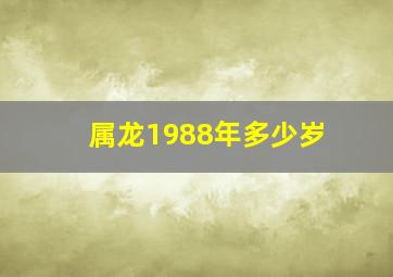 属龙1988年多少岁