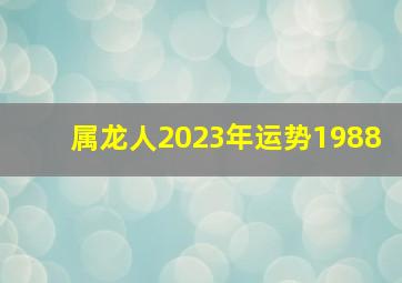 属龙人2023年运势1988