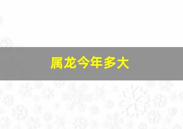 属龙今年多大