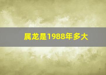 属龙是1988年多大