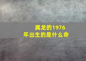 属龙的1976年出生的是什么命