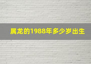 属龙的1988年多少岁出生