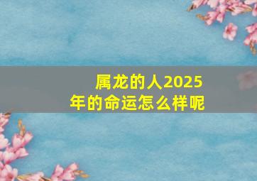 属龙的人2025年的命运怎么样呢