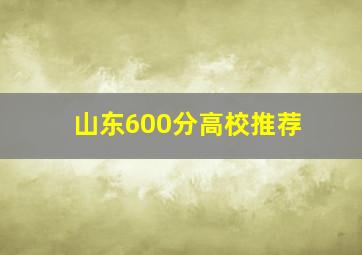 山东600分高校推荐