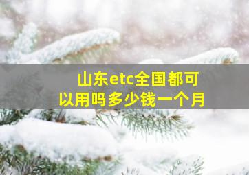 山东etc全国都可以用吗多少钱一个月