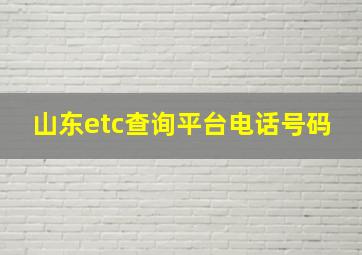 山东etc查询平台电话号码