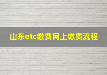 山东etc缴费网上缴费流程