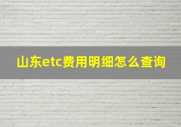 山东etc费用明细怎么查询