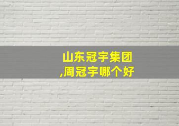 山东冠宇集团,周冠宇哪个好