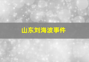 山东刘海波事件