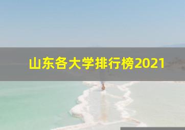 山东各大学排行榜2021