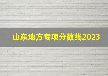 山东地方专项分数线2023