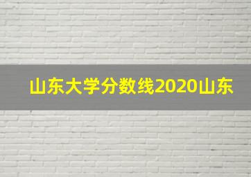 山东大学分数线2020山东