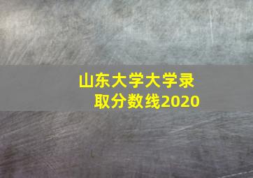 山东大学大学录取分数线2020