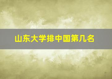 山东大学排中国第几名