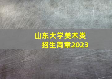 山东大学美术类招生简章2023