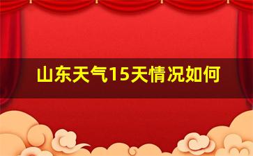 山东天气15天情况如何