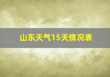 山东天气15天情况表