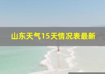 山东天气15天情况表最新