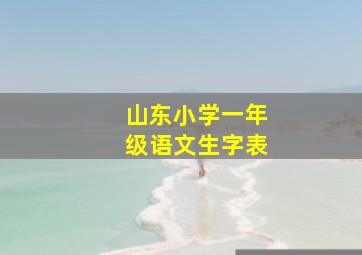 山东小学一年级语文生字表