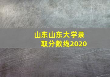 山东山东大学录取分数线2020