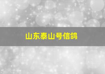 山东泰山号信鸽