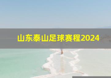 山东泰山足球赛程2024