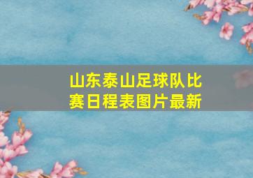 山东泰山足球队比赛日程表图片最新