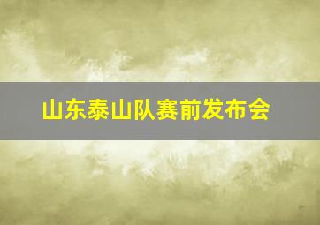 山东泰山队赛前发布会