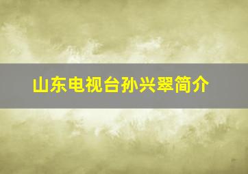 山东电视台孙兴翠简介