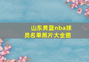 山东男篮nba球员名单照片大全图