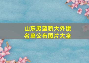 山东男篮新大外援名单公布图片大全