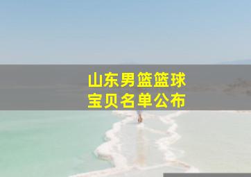 山东男篮篮球宝贝名单公布