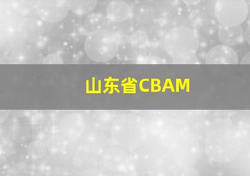 山东省CBAM