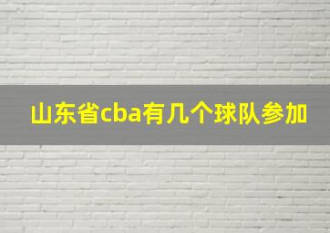 山东省cba有几个球队参加