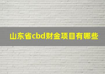 山东省cbd财金项目有哪些