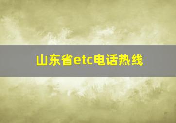 山东省etc电话热线