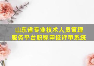 山东省专业技术人员管理服务平台职称申报评审系统