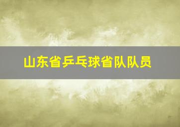 山东省乒乓球省队队员