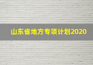 山东省地方专项计划2020