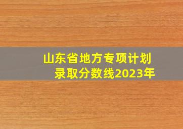 山东省地方专项计划录取分数线2023年