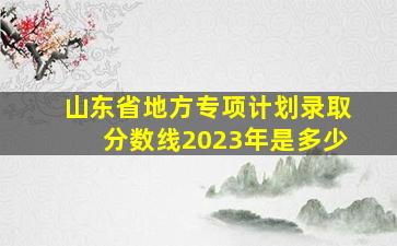 山东省地方专项计划录取分数线2023年是多少